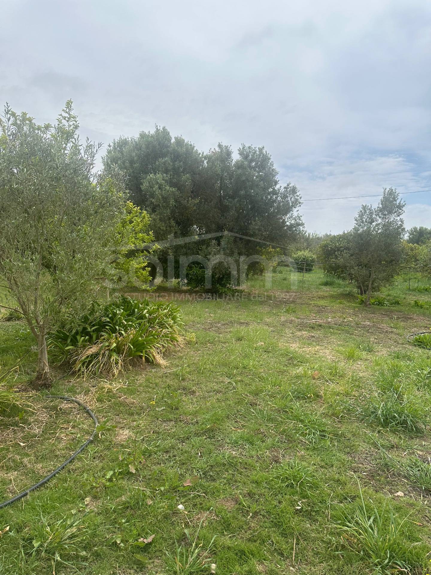 Casa singola in vendita a San Sperate