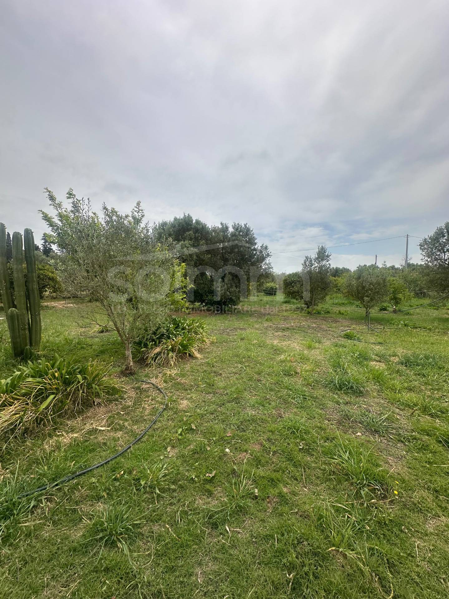 Casa singola in vendita a San Sperate