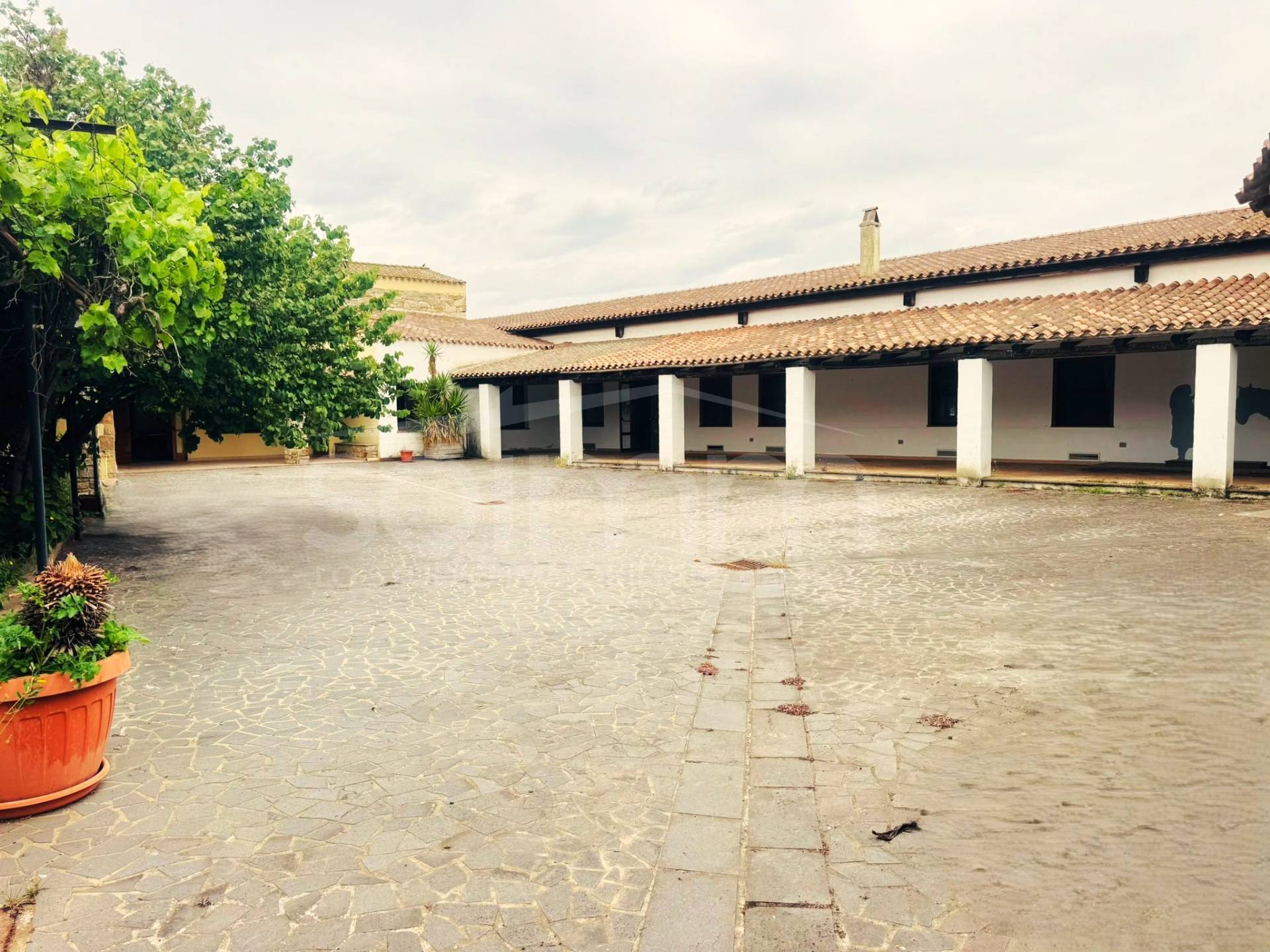 Campidanese in vendita a Baradili