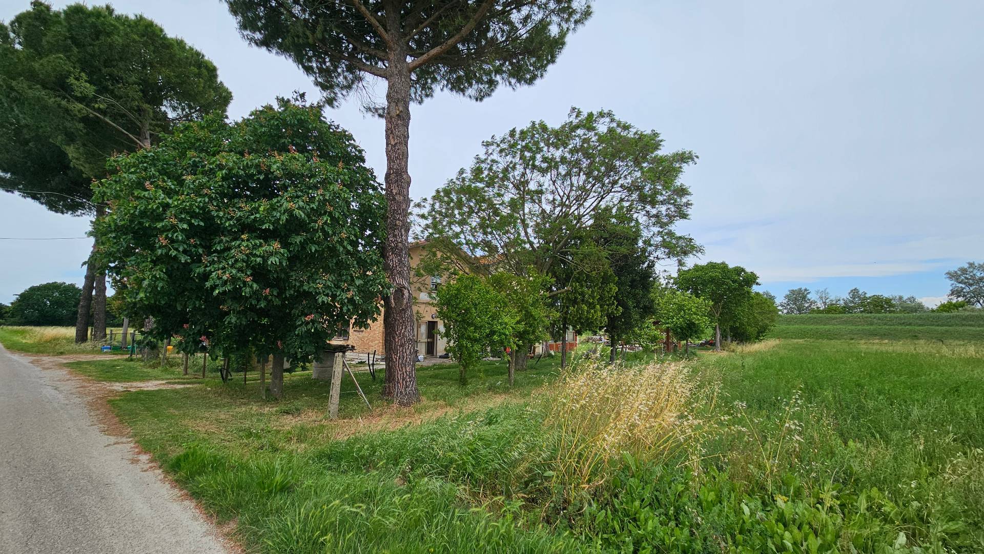 Casa indipendente in vendita a Ravenna, San Romualdo