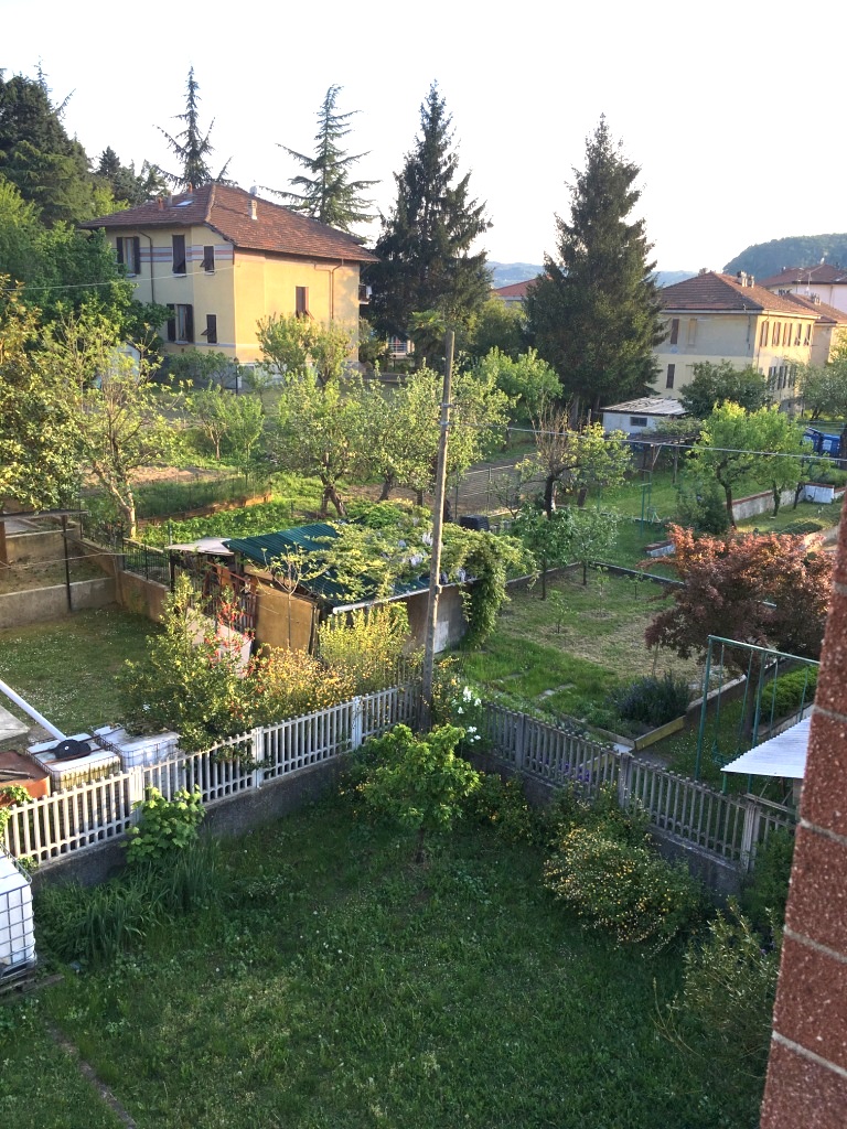 immagine annuncio 2 di 6