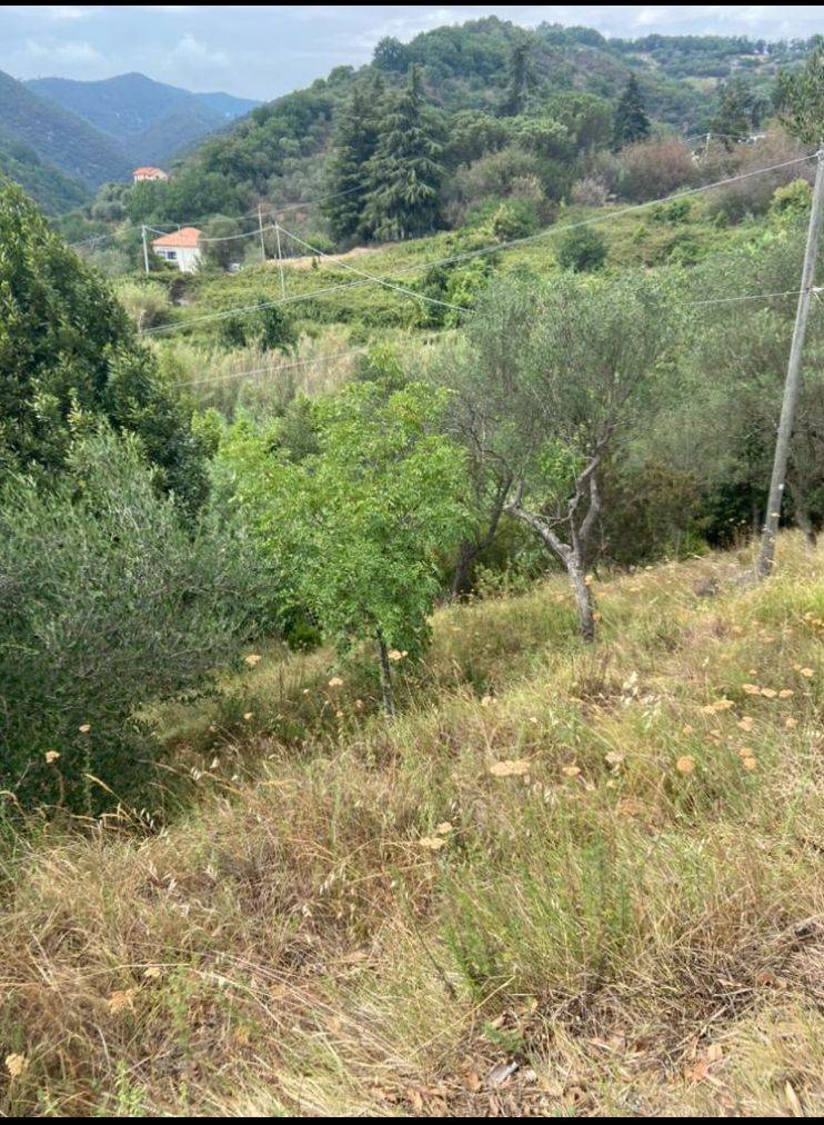 Terreno Agricolo in vendita a Albisola Superiore
