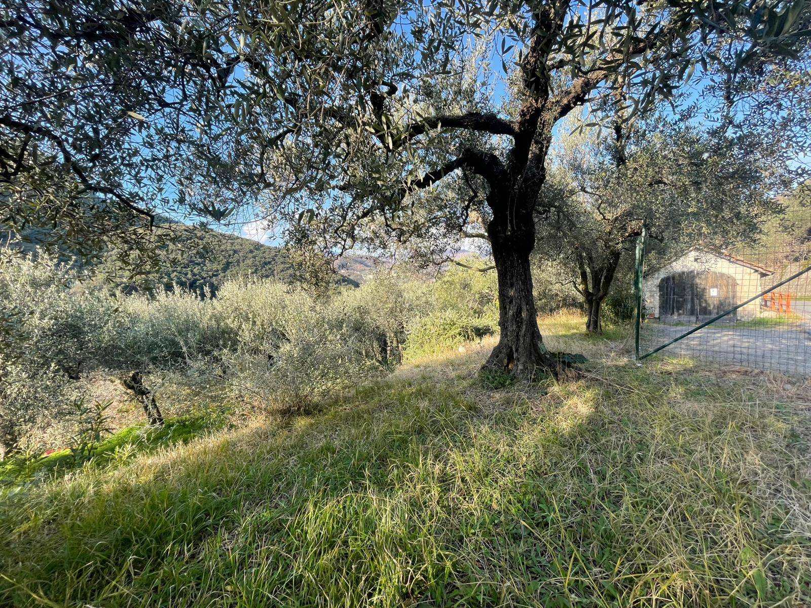 Terreno edificabile in vendita a Giustenice