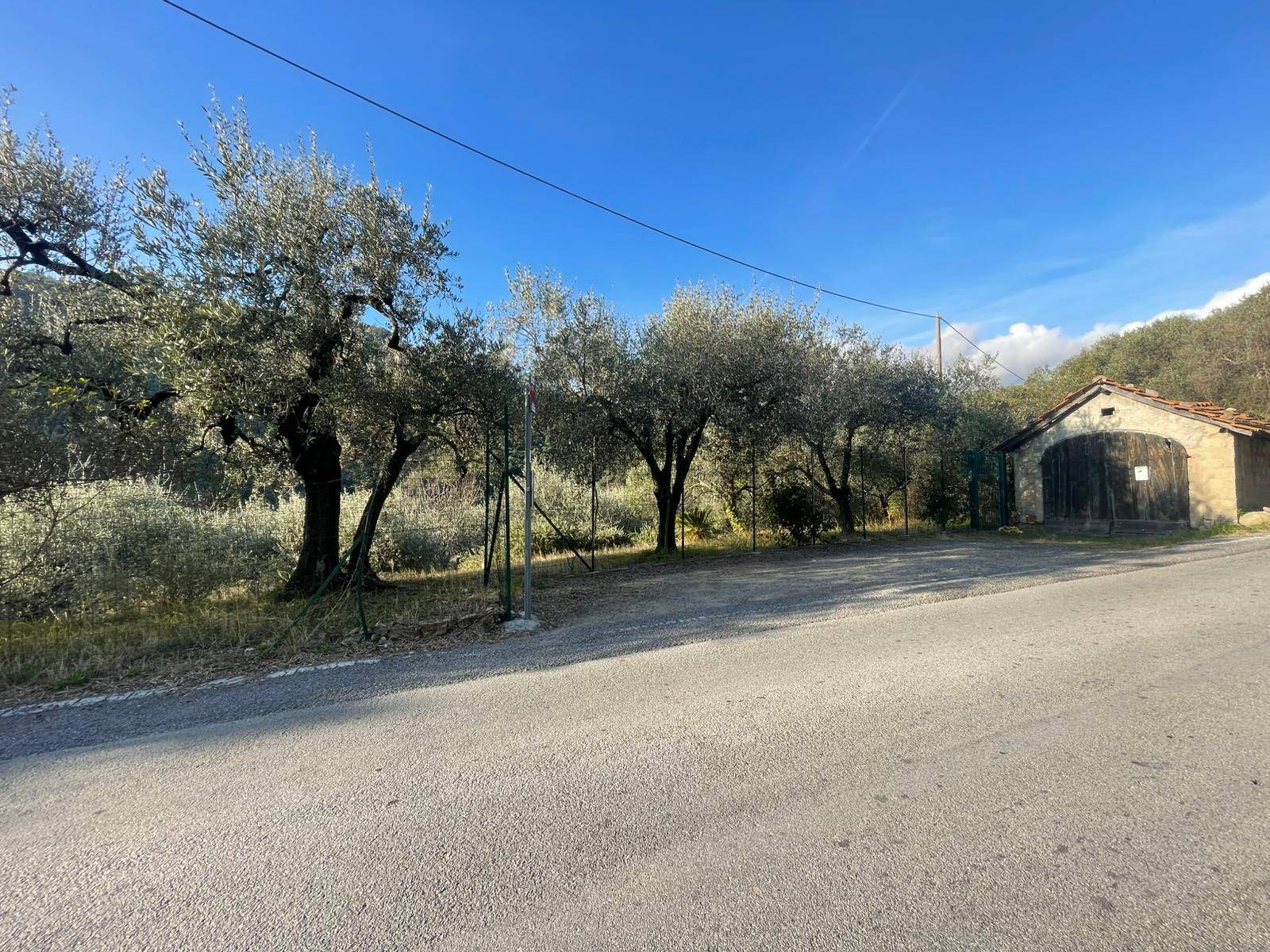 Terreno edificabile in vendita a Giustenice