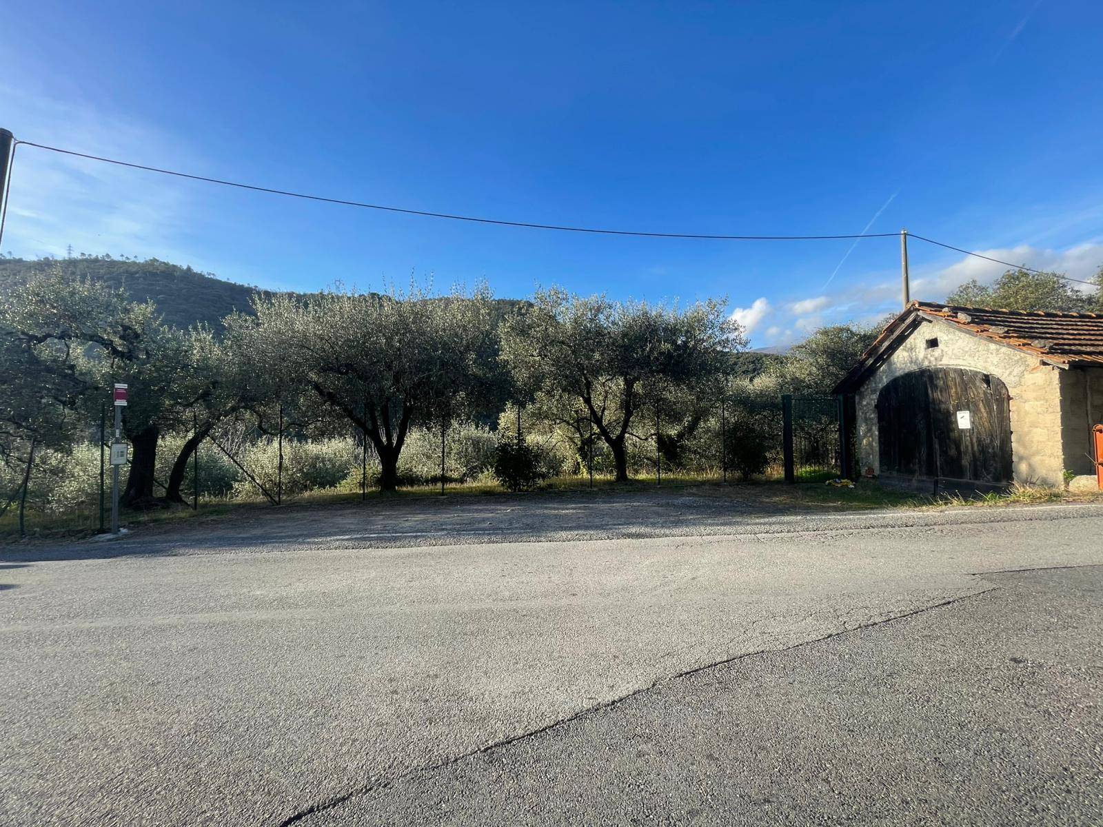 Terreno edificabile in vendita a Giustenice