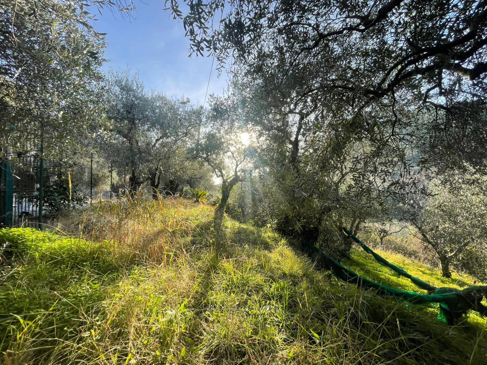 Terreno edificabile in vendita a Giustenice