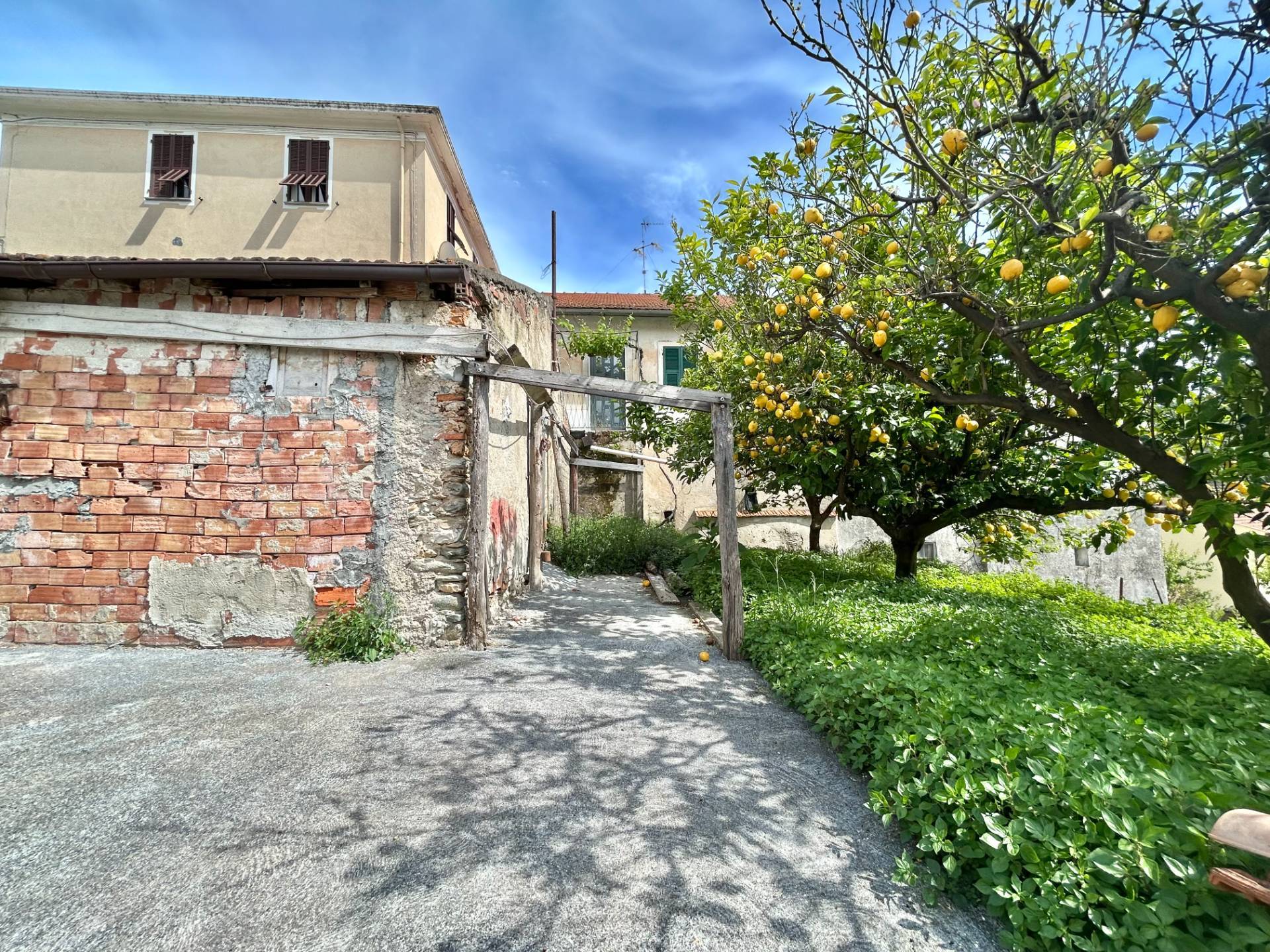 Terreno Agricolo in vendita a Tovo San Giacomo
