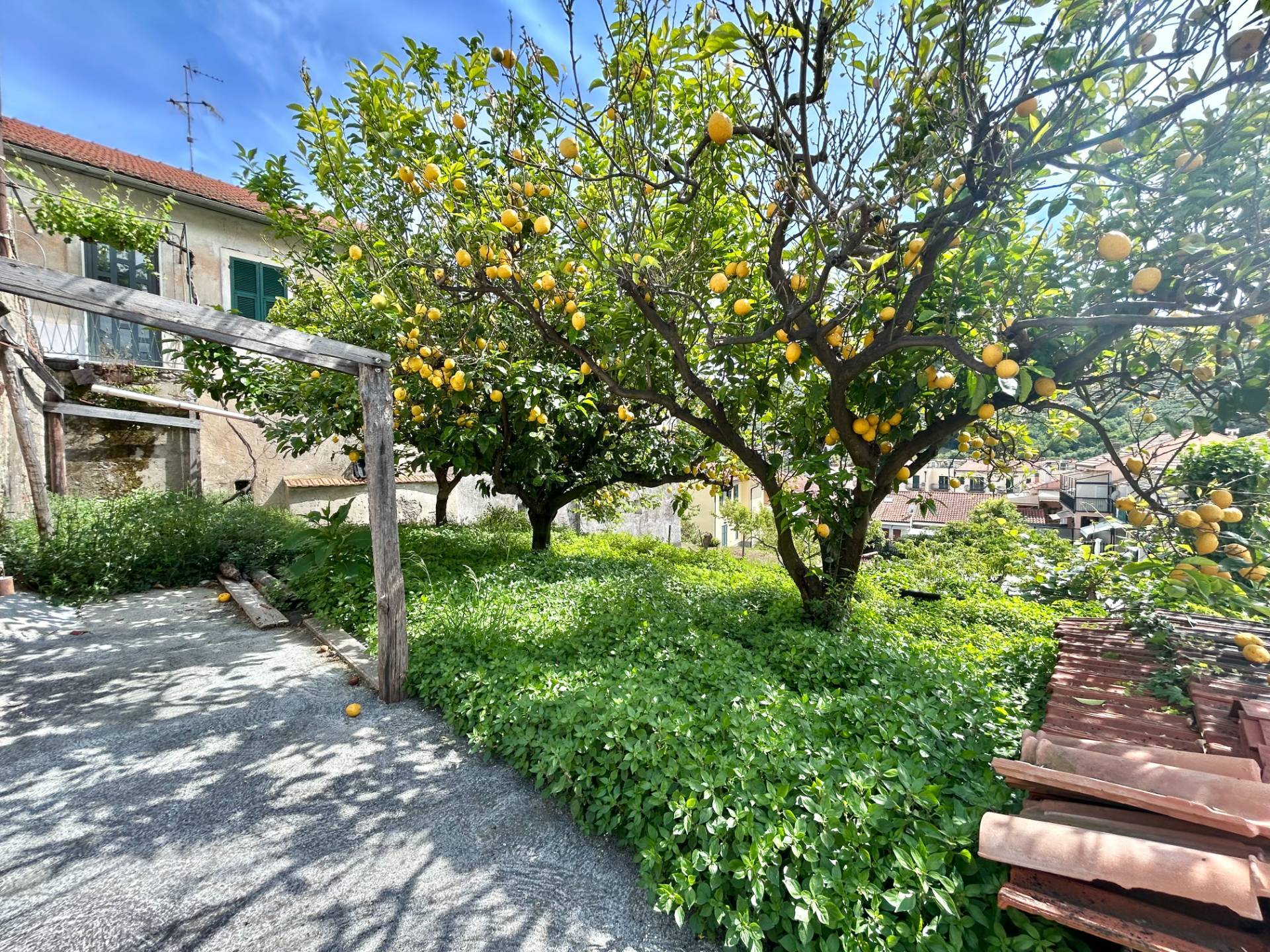 Terreno Agricolo in vendita a Tovo San Giacomo