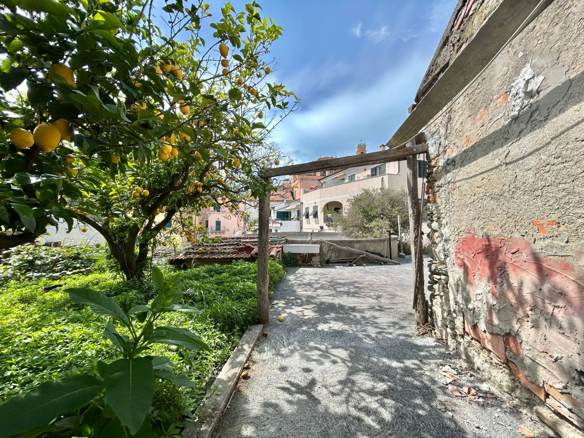 Terreno Agricolo in vendita a Tovo San Giacomo
