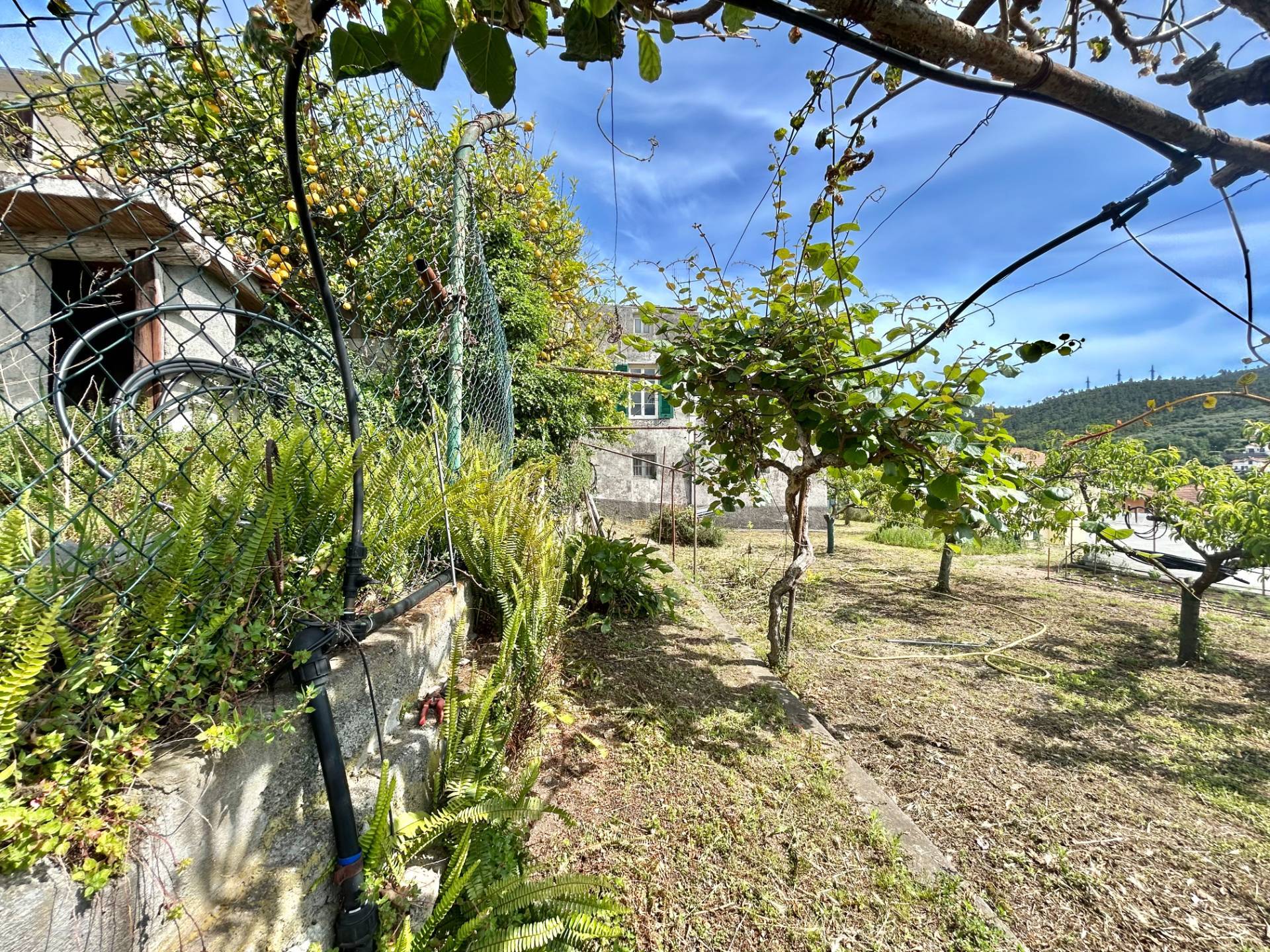 Terreno Agricolo in vendita a Tovo San Giacomo