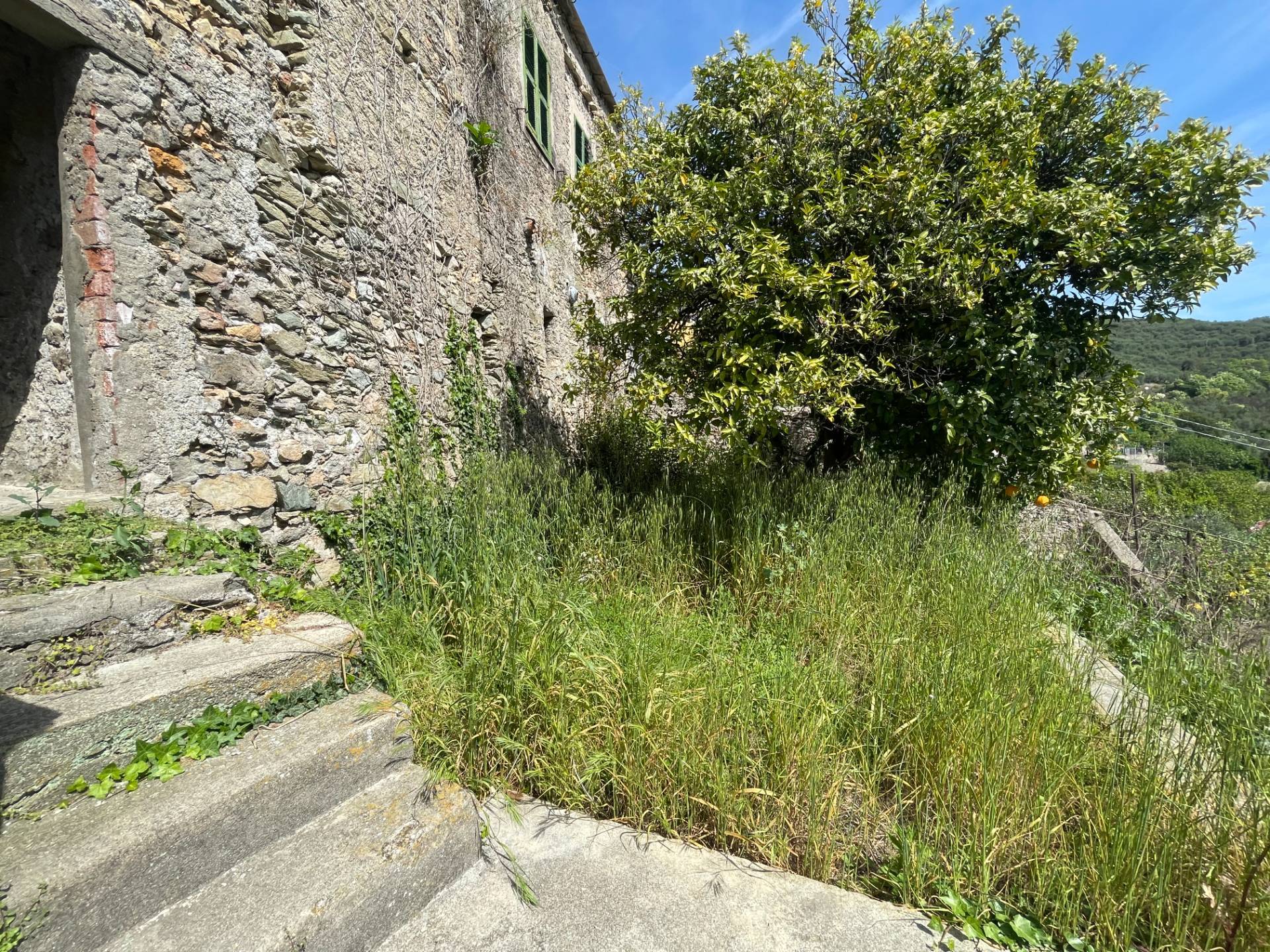 Abitazioni tipiche storiche in vendita a Tovo San Giacomo, Poggio