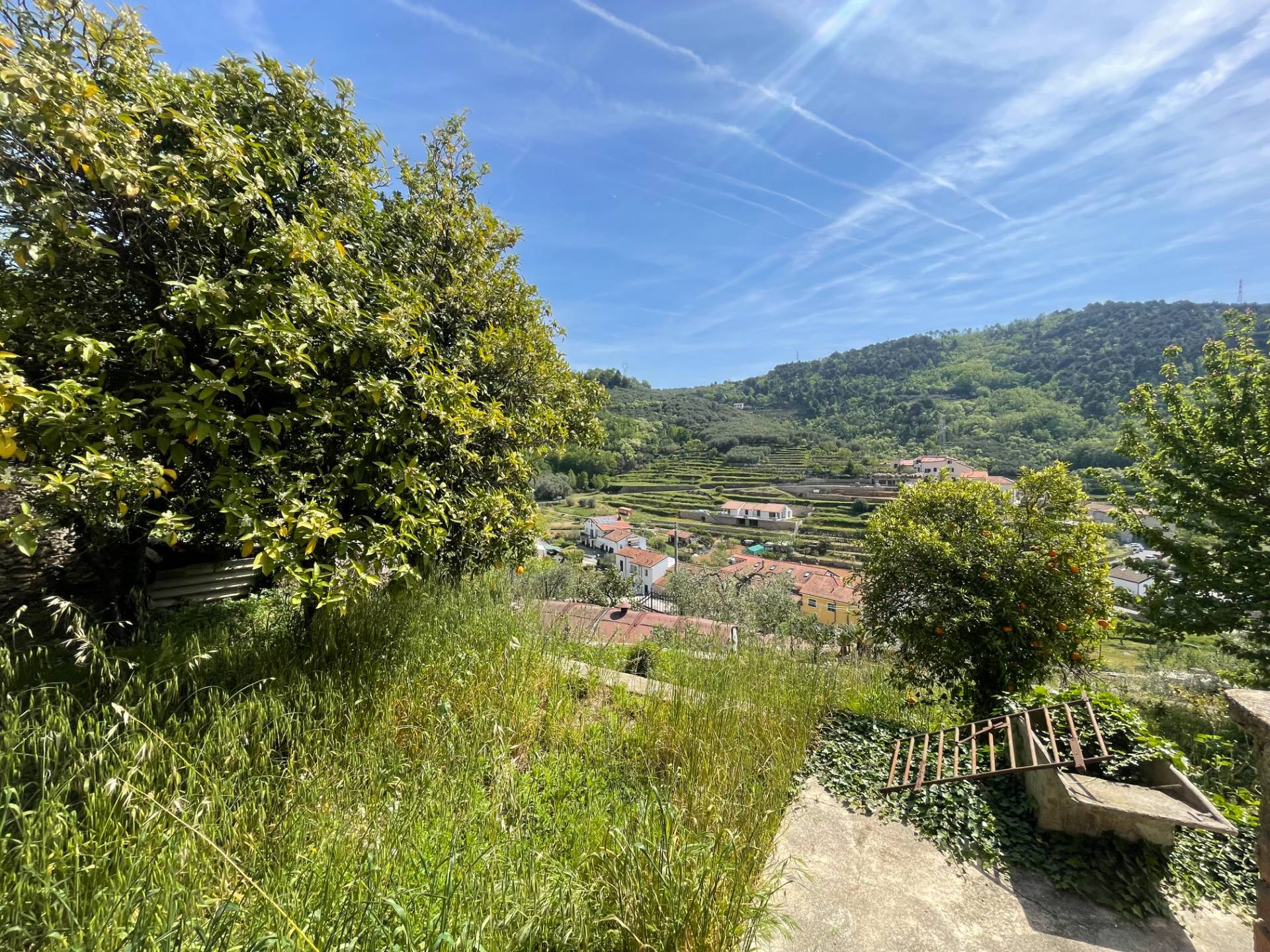 Abitazioni tipiche storiche in vendita a Tovo San Giacomo, Poggio