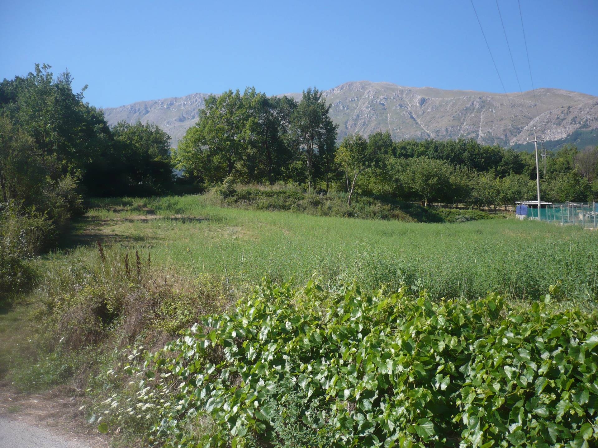 immagine annuncio 1 di 9