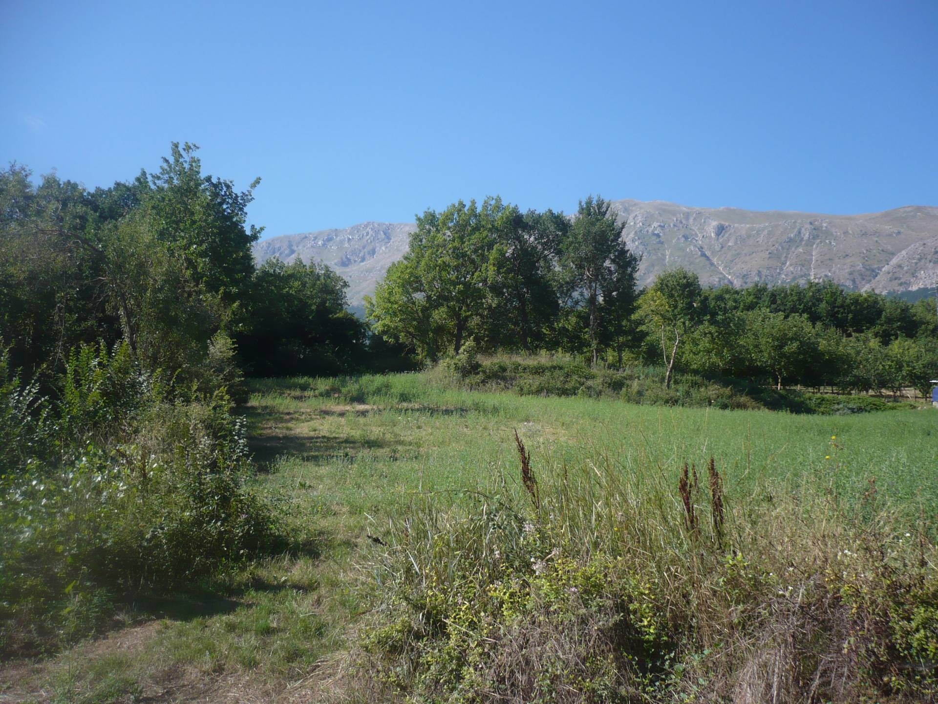 immagine annuncio 7 di 9