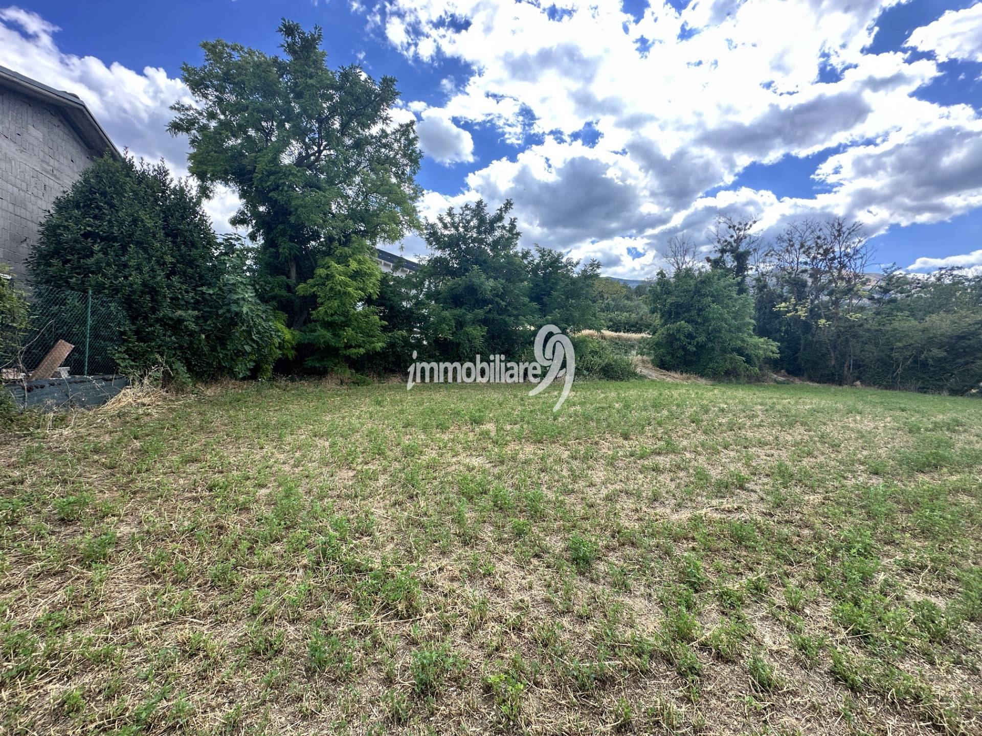 immagine annuncio 4 di 6