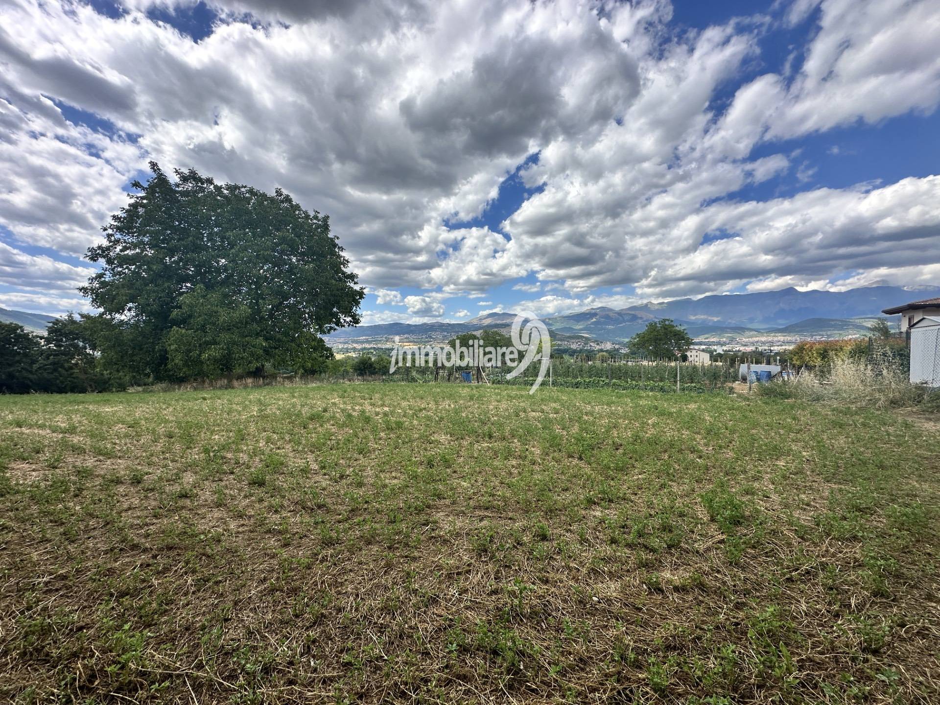 immagine annuncio 5 di 6