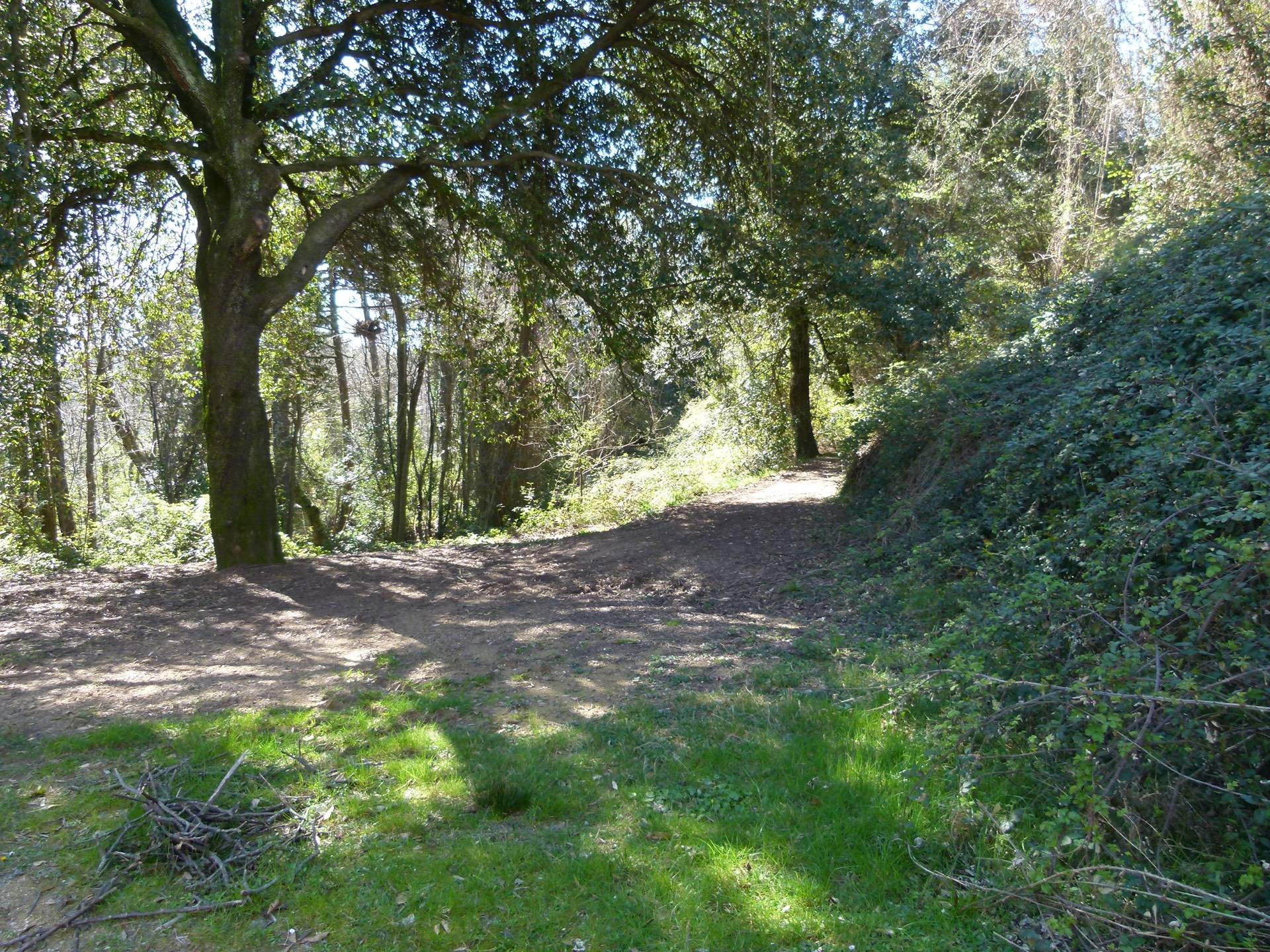 Rustico in vendita a Lucca, Chiatri Puccini