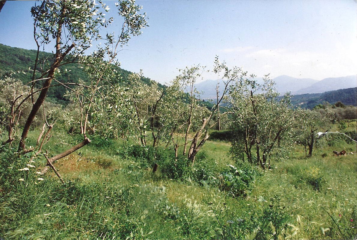 Rustico in vendita a Lucca, La Cappella
