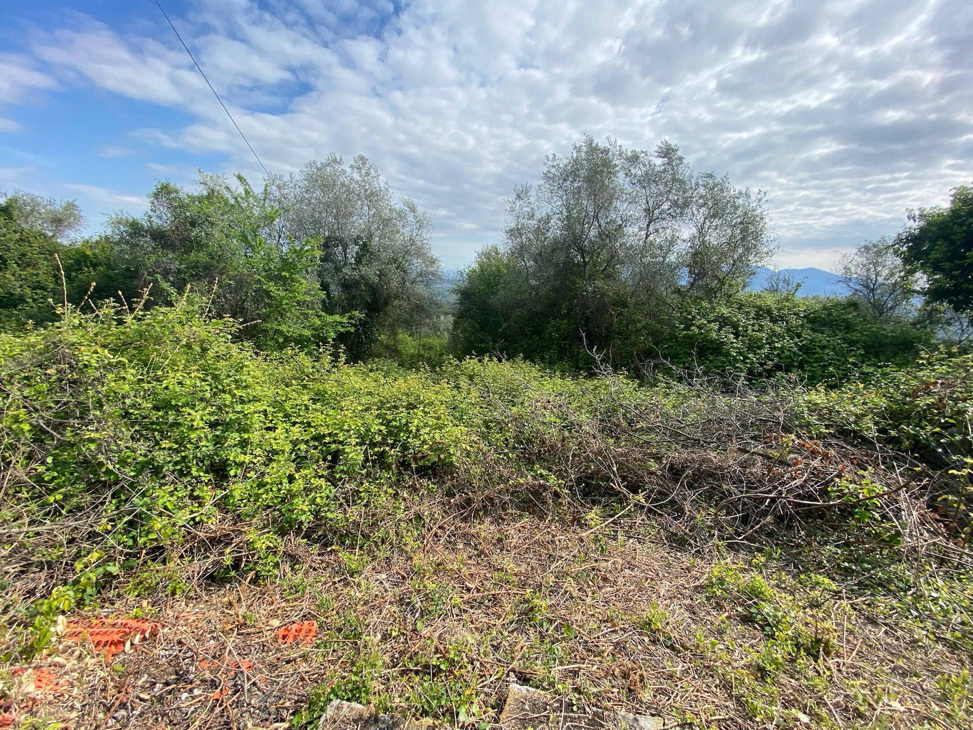 Rustico in vendita a Capannori, Colline nord est