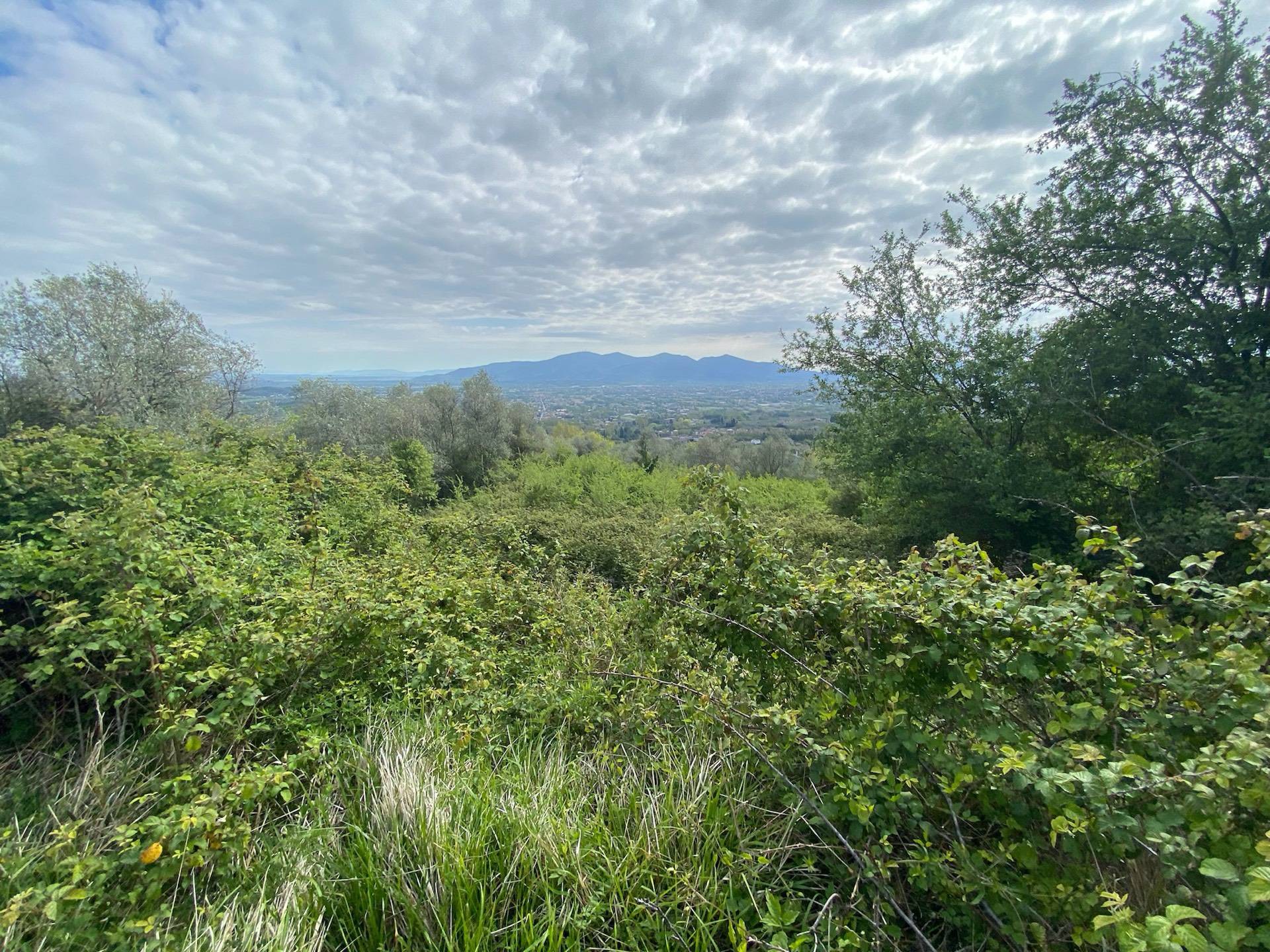 Rustico in vendita a Capannori, Colline nord est