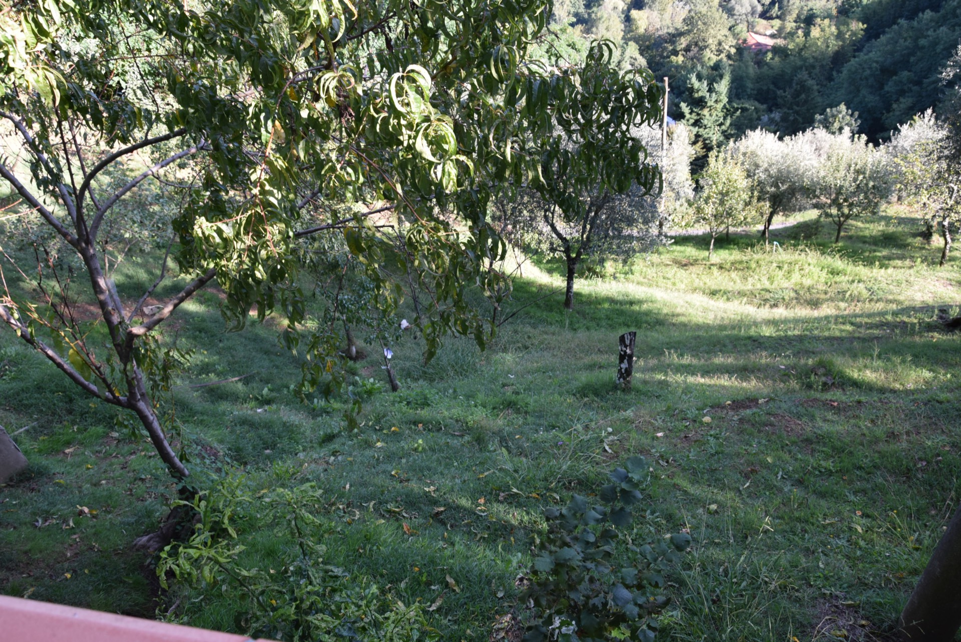 Rustico in vendita a Villa Basilica, Botticino