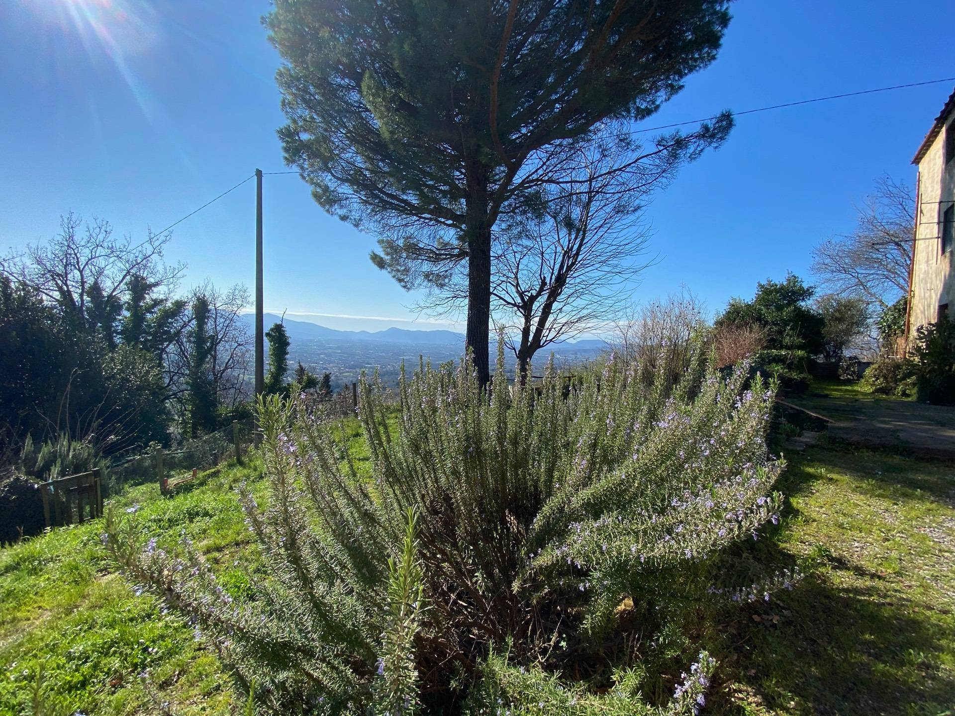 Rustico in vendita a Lucca, Colline