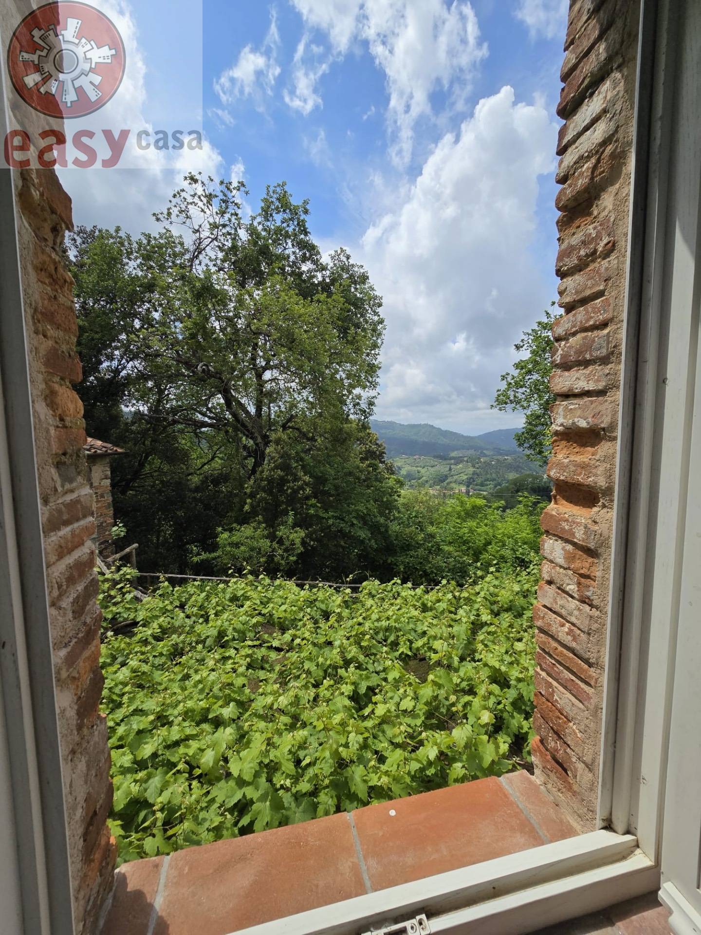 Rustico in vendita a Camaiore, Colline Camaiore