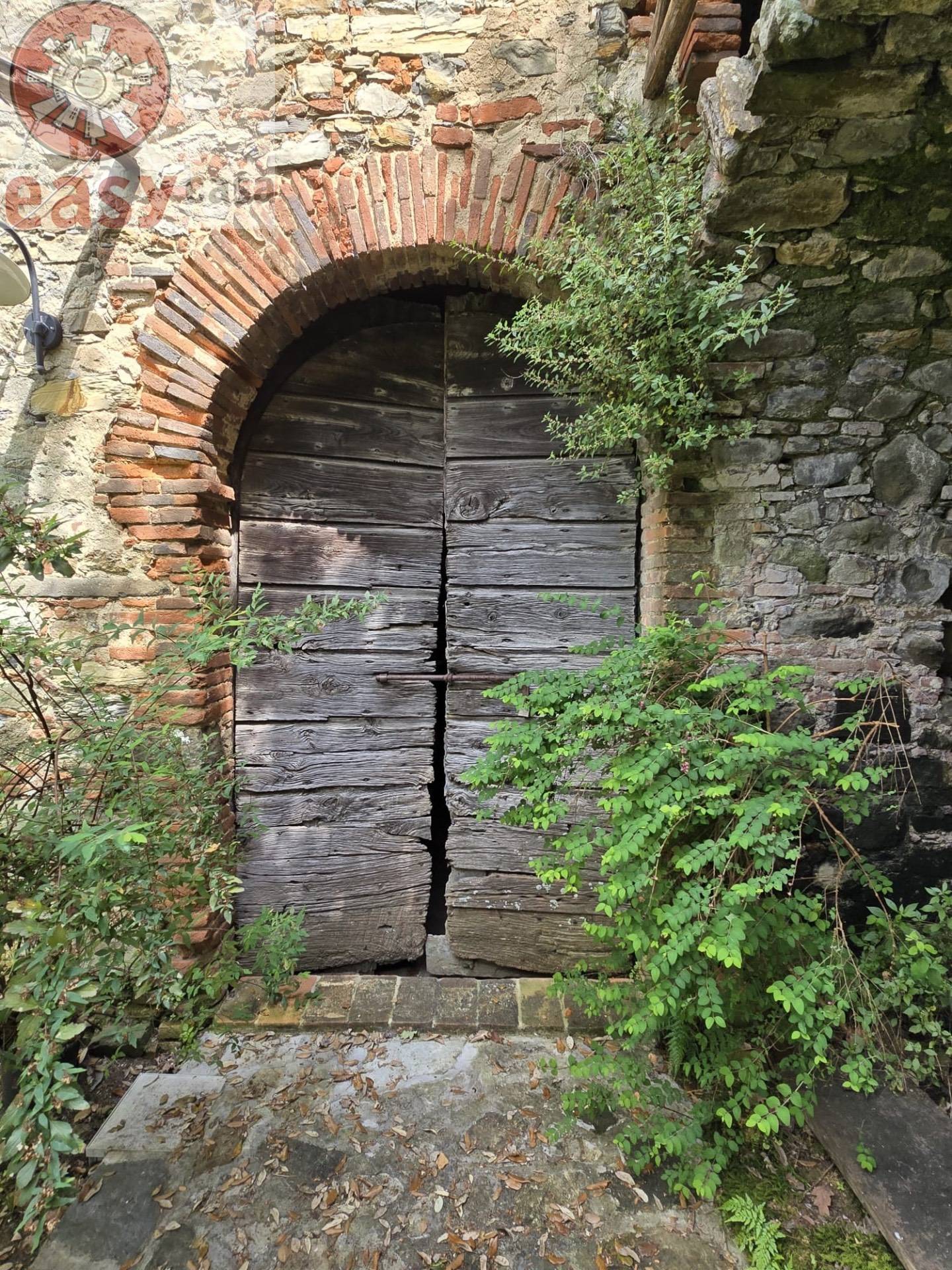 Rustico in vendita a Camaiore, Colline Camaiore