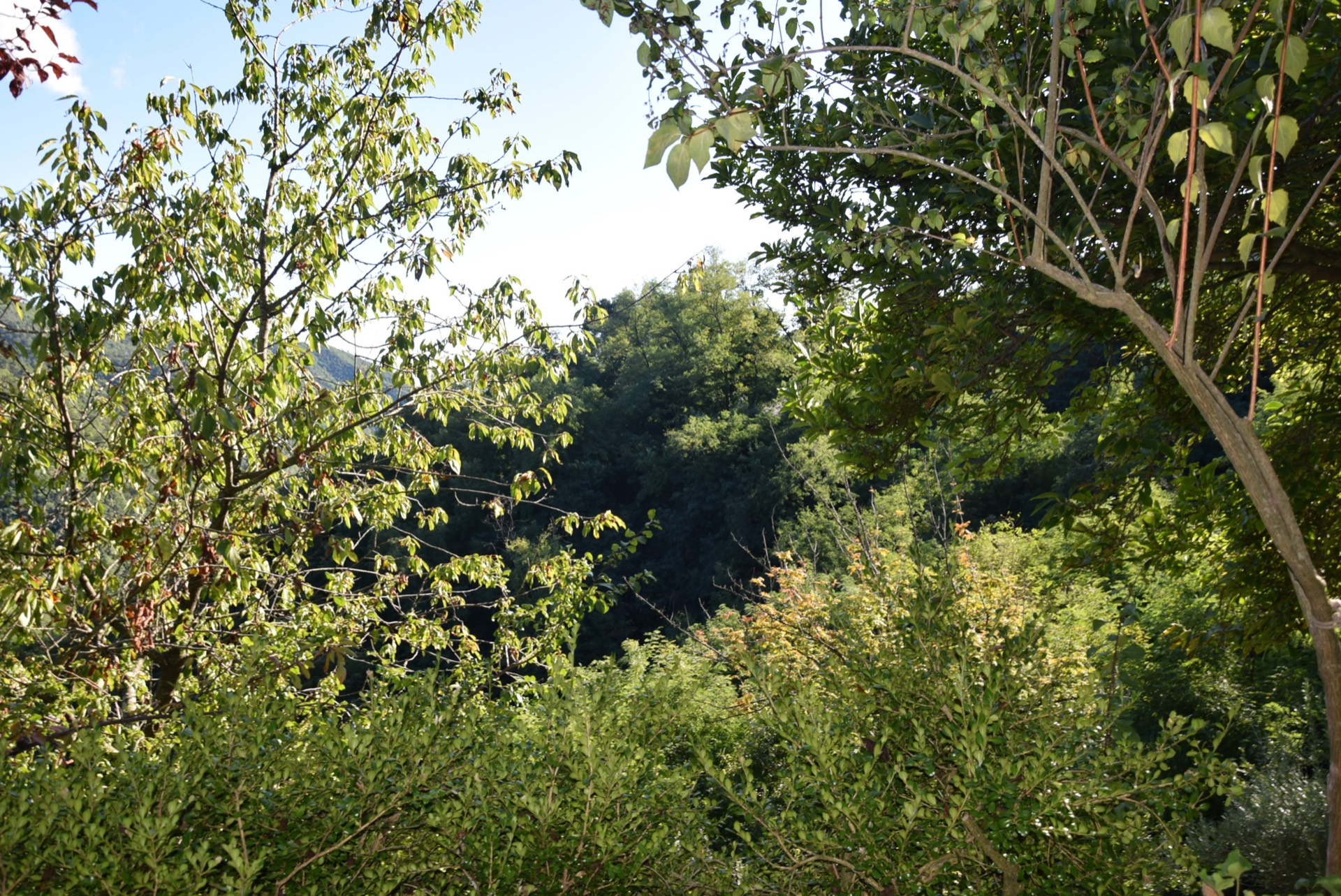 Rustico in vendita a Villa Basilica, Botticino