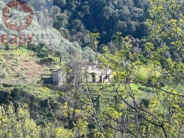 Rustico in vendita a Lucca, Colline