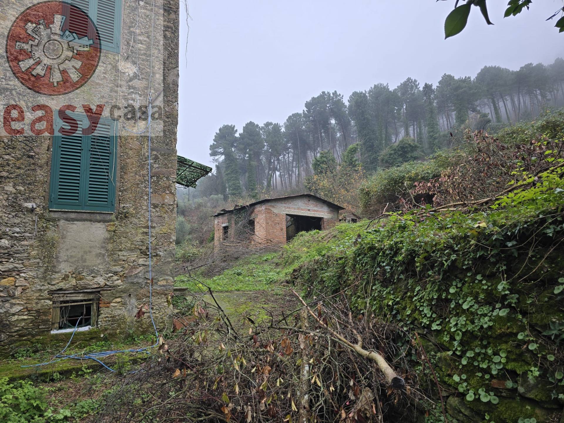 Rustico in vendita a Capannori, Compitese