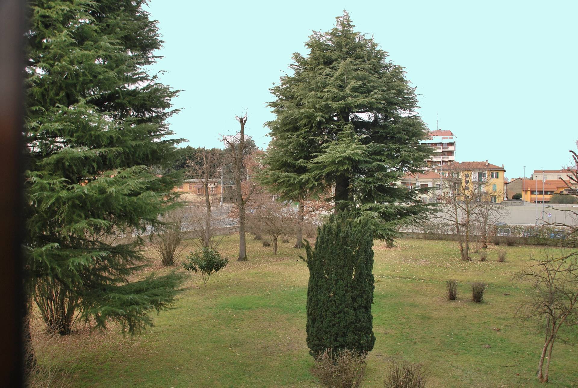 immagine annuncio 3 di 6