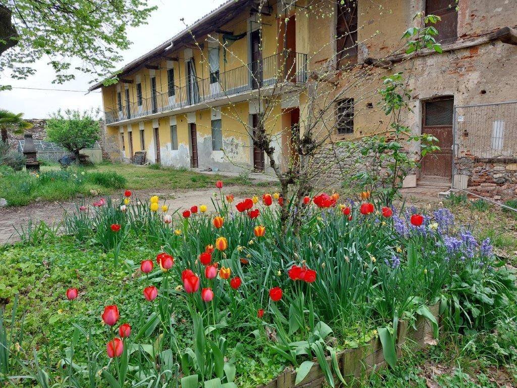 immagine annuncio 2 di 6