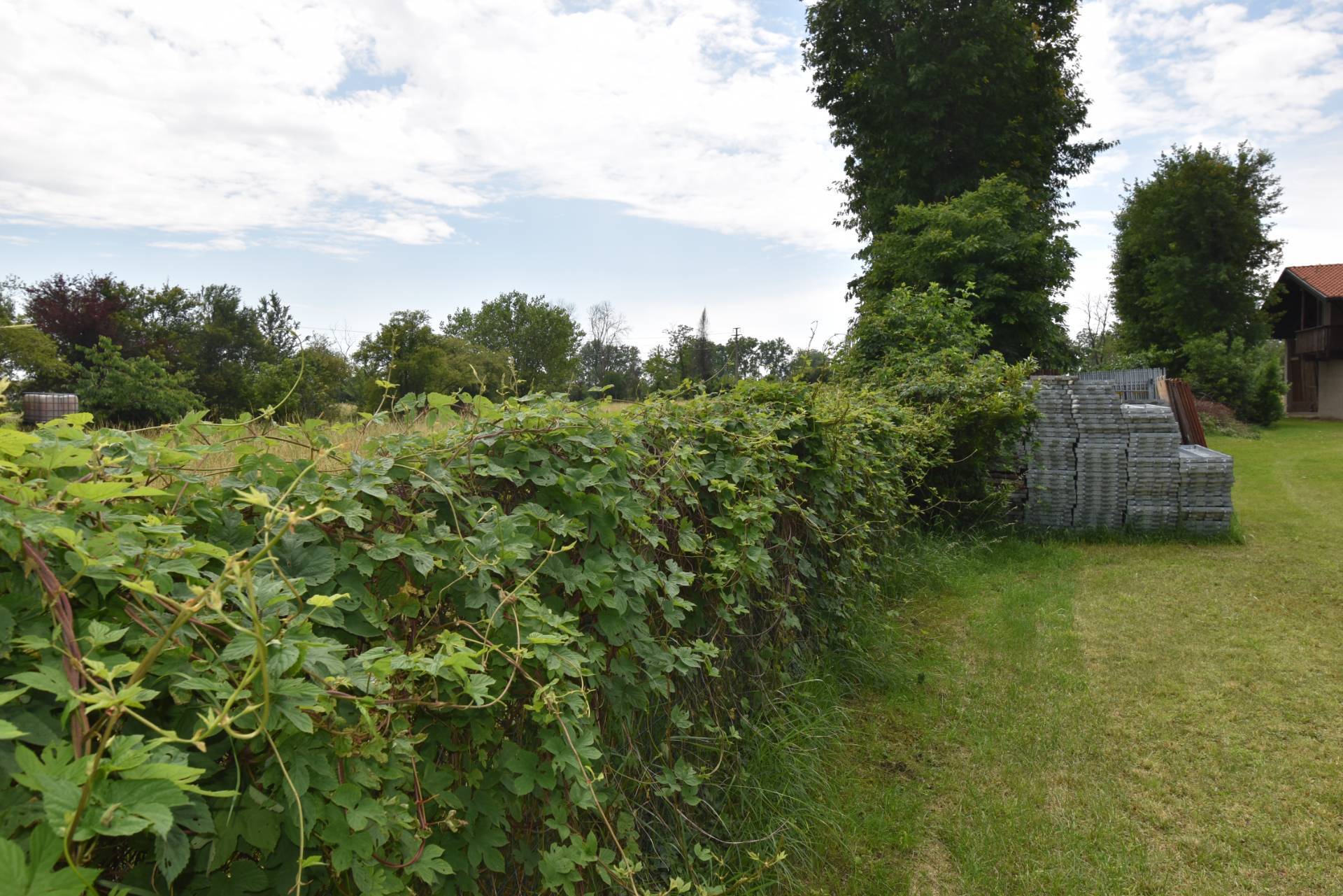 Terreno edificabile in vendita a San Vittore Olona