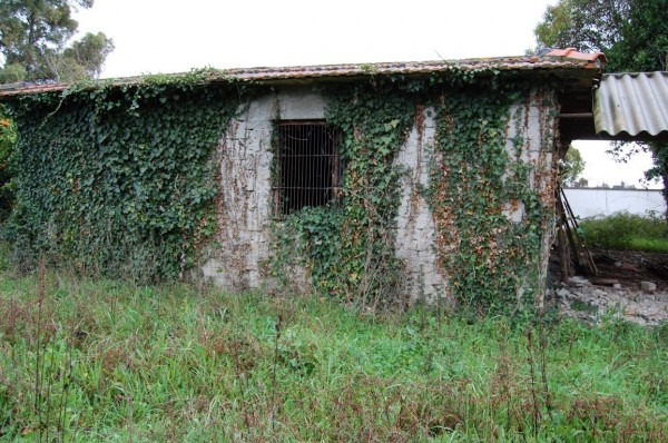 immagine annuncio 5 di 6