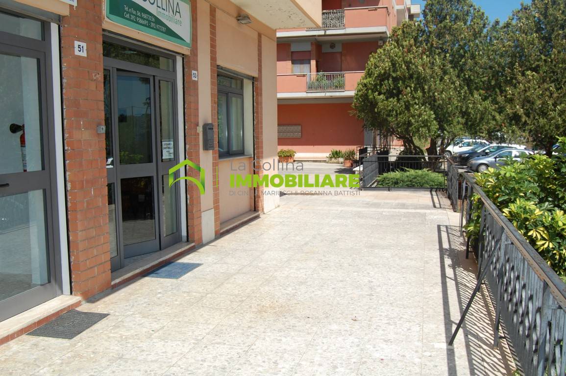 immagine annuncio 2 di 6