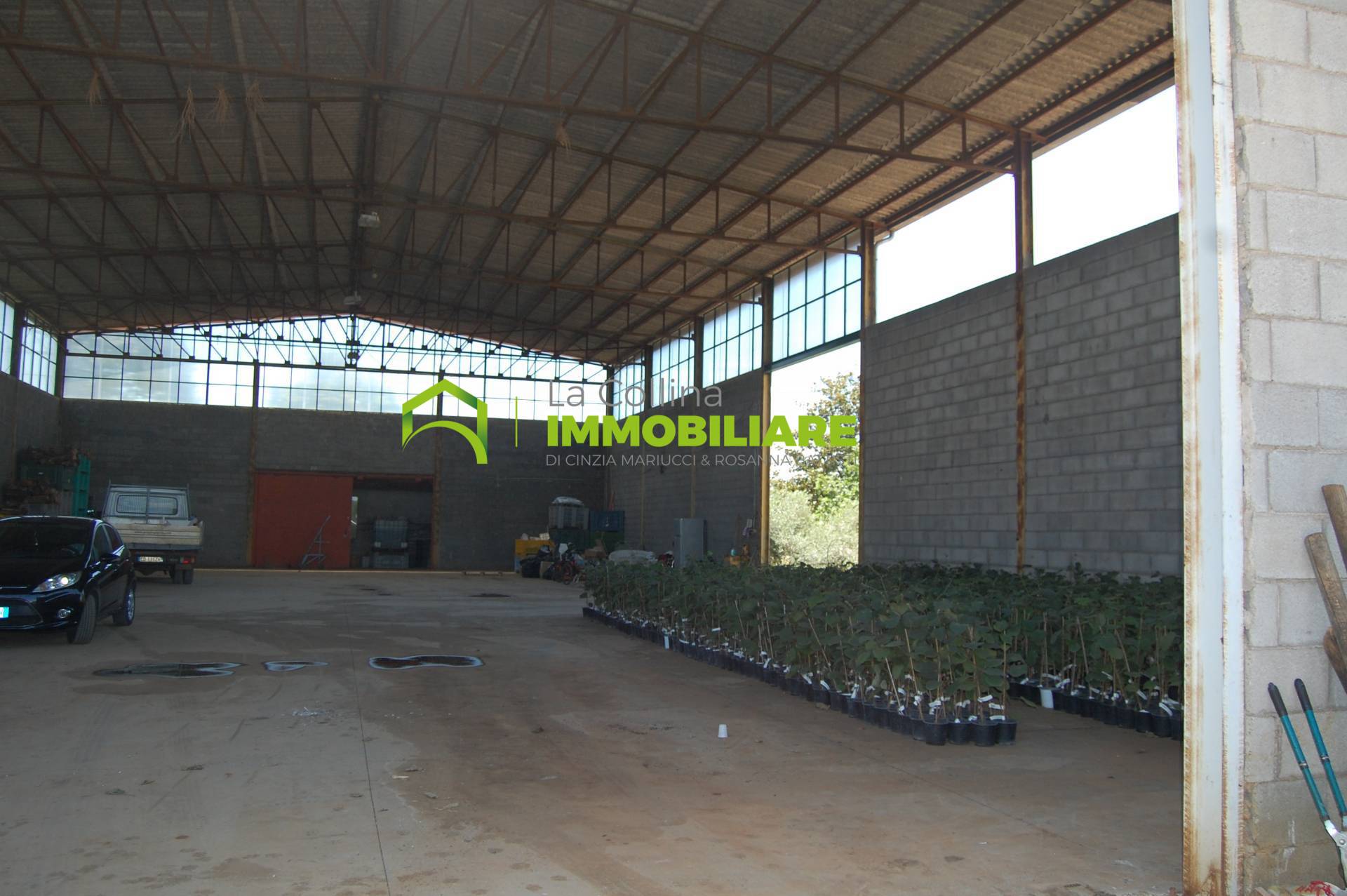 Capannone Artigianale in affitto a Cisterna di Latina
