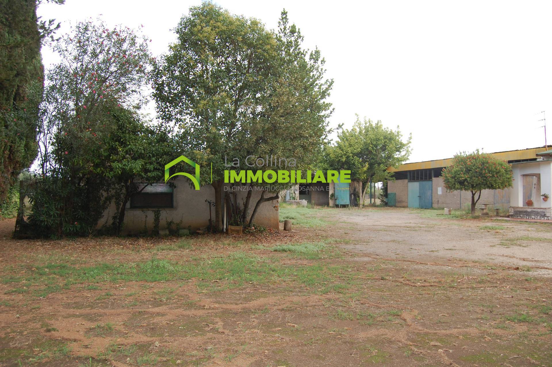immagine annuncio 5 di 6