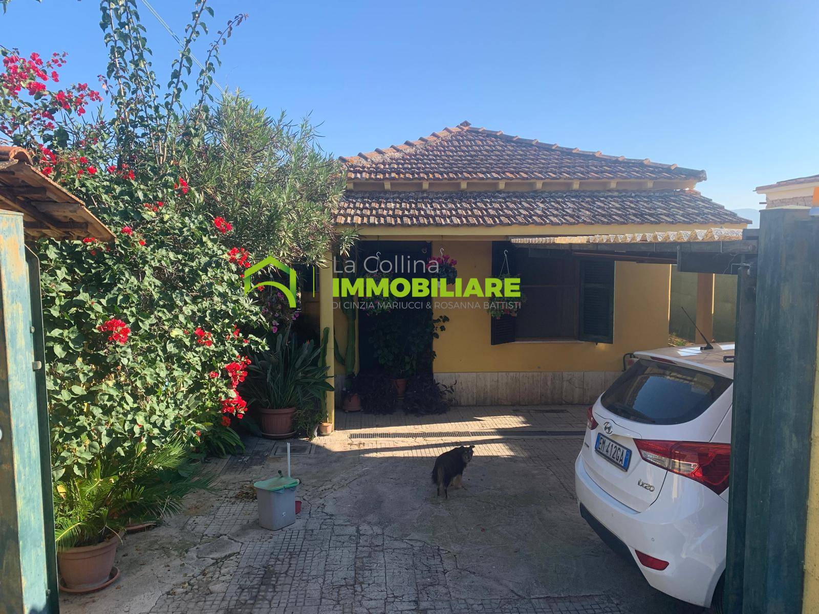 immagine annuncio 1 di 10