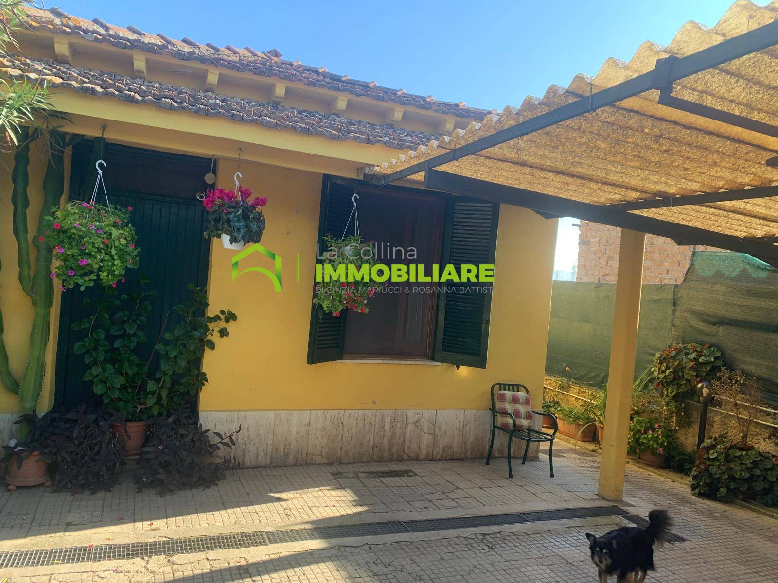 immagine annuncio 3 di 10
