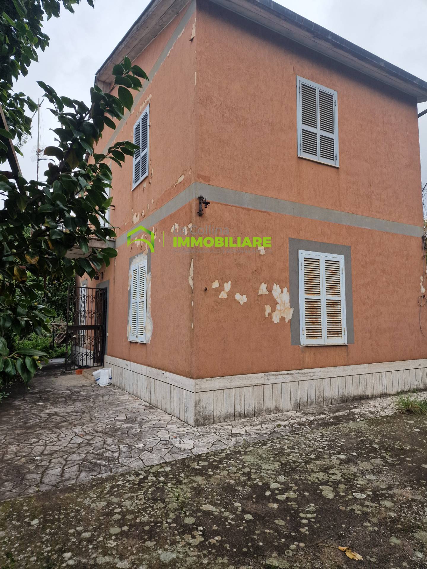 immagine annuncio 2 di 10