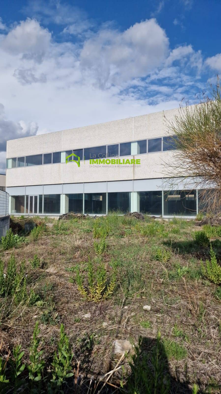 EDIFICIO COMMERCIALE-MAGAZZINO in affitto a Cisterna di Latina