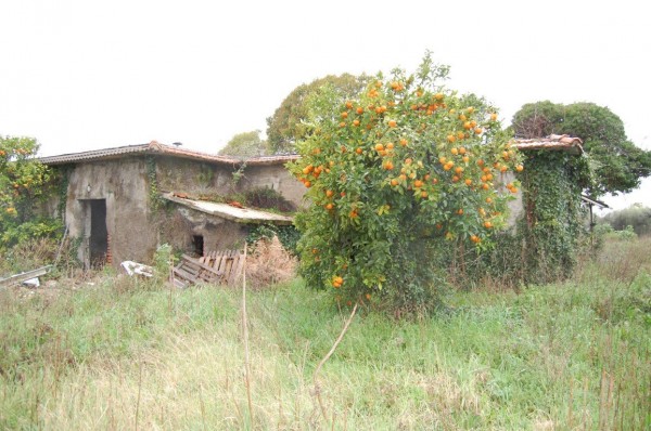 Rustico in vendita a Velletri