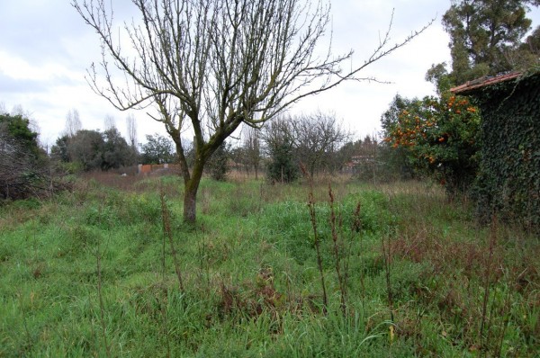 Rustico in vendita a Velletri