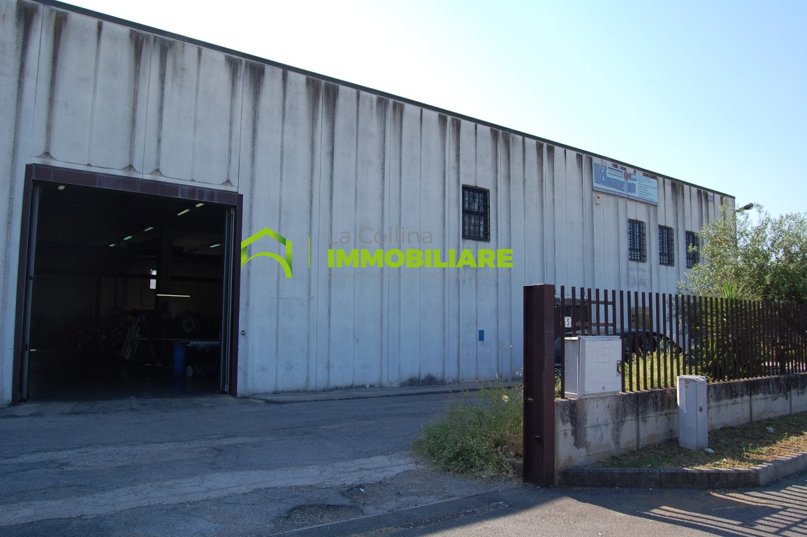 Capannone Artigianale in affitto a Cisterna di Latina