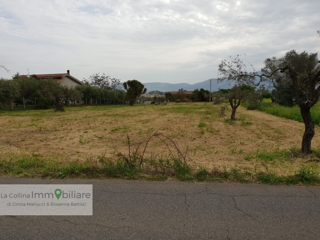 Terreno Agricolo in vendita a Velletri