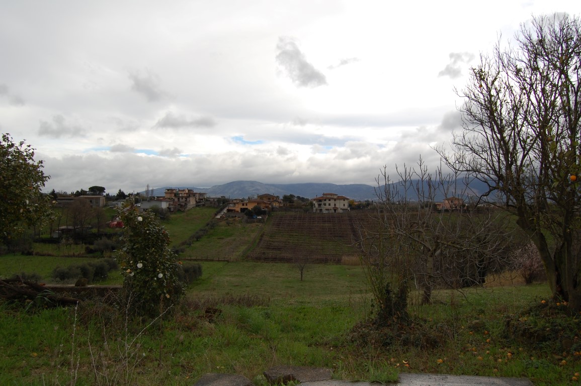 Terreno Agricolo in vendita a Velletri