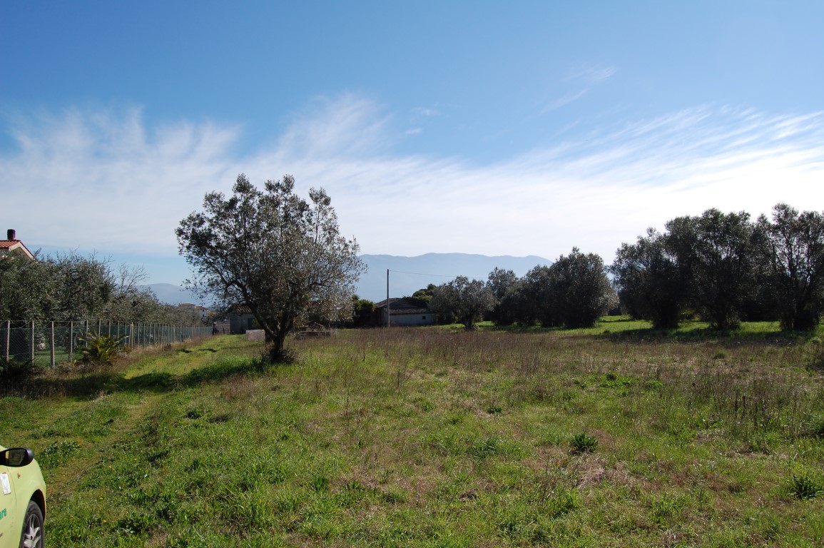 Terreno Agricolo in vendita a Velletri
