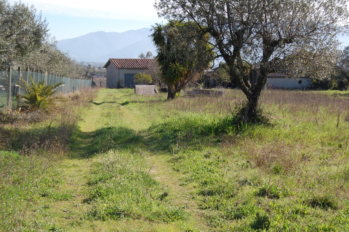 Terreno Agricolo in vendita a Velletri