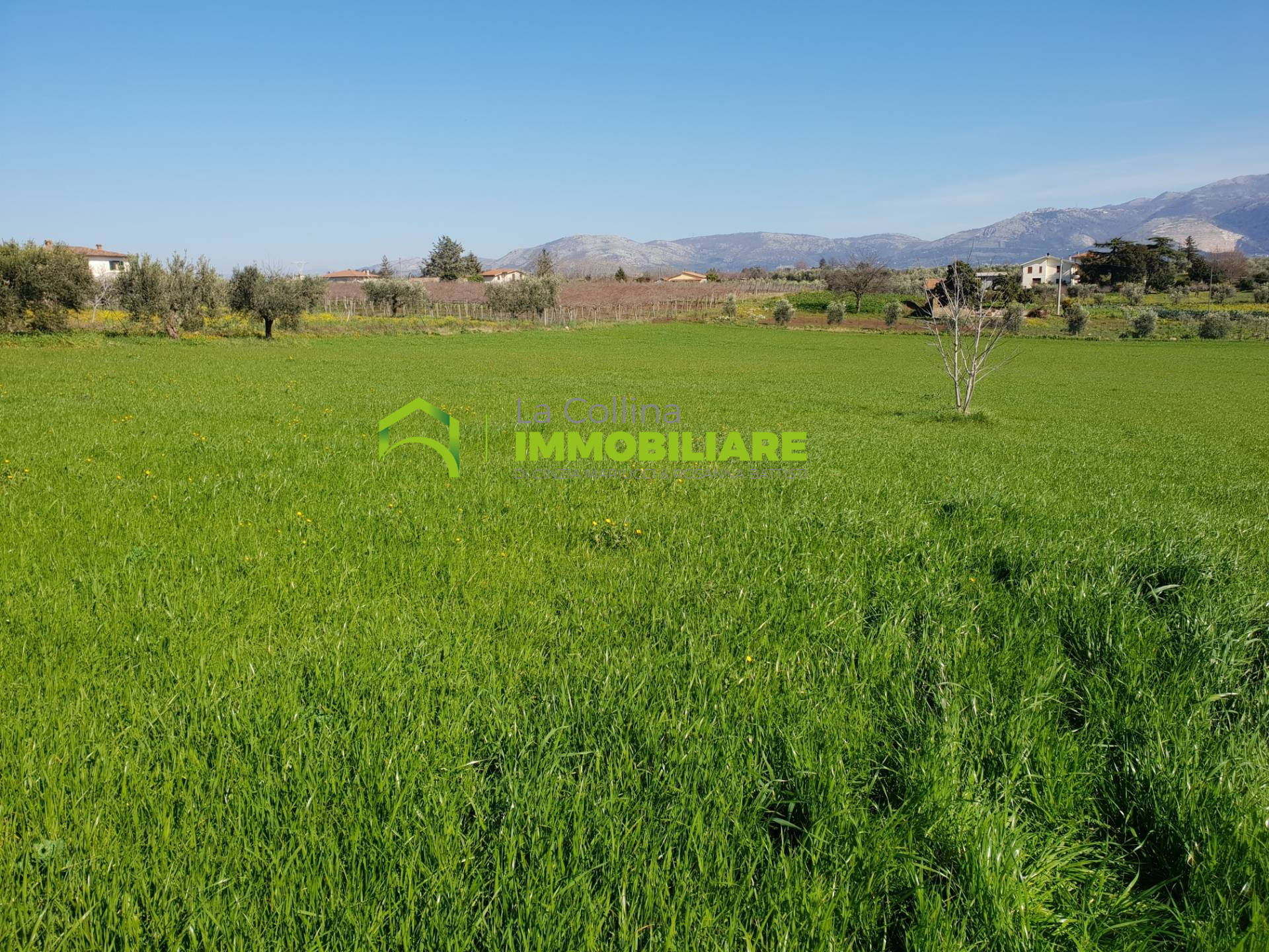 Terreno edificabile in vendita a Velletri